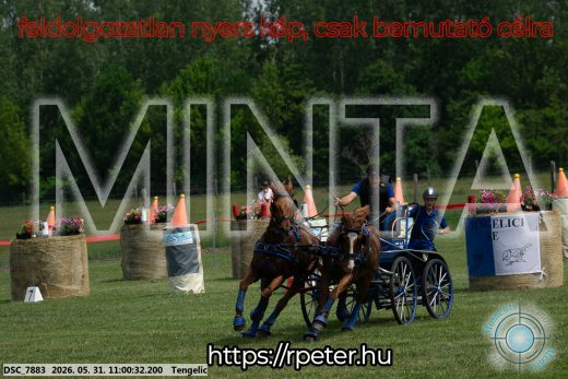 Mintakép 20260531-2623