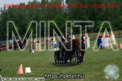 Mintakép 20260531-2624