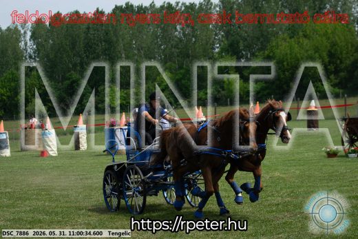 Mintakép 20260531-2626
