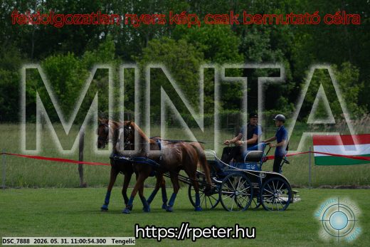 Mintakép 20260531-2627