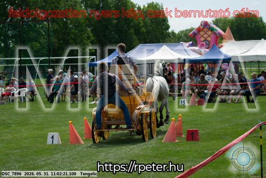 Mintakép 20260531-2632