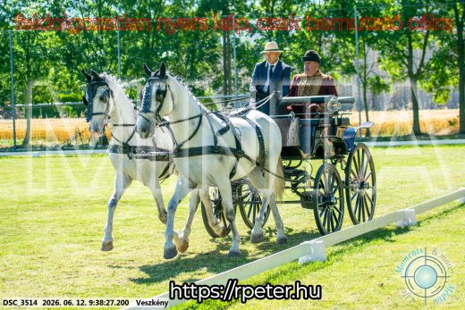 Mintakép 20260612-199