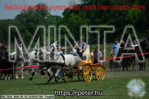 Mintakép 20260531-2644