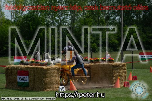 Mintakép 20260531-2651