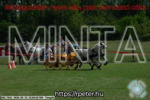 Mintakép 20260531-2653