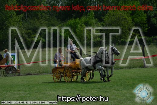 Mintakép 20260531-2654