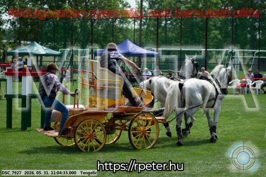 Mintakép 20260531-2657