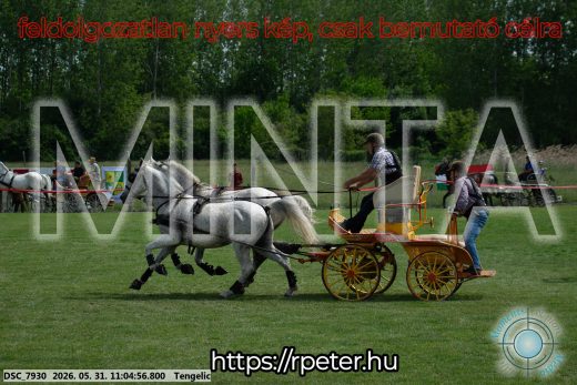 Mintakép 20260531-2659