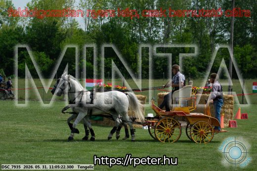 Mintakép 20260531-2664