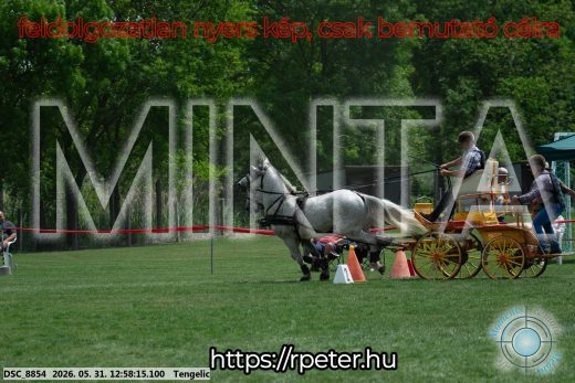 Mintakép 20260531-2671
