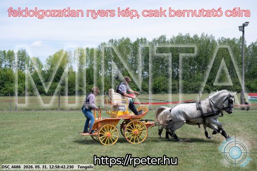 Mintakép 20260531-2677