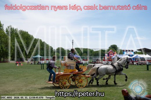 Mintakép 20260531-2683
