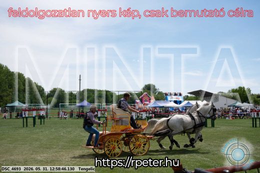 Mintakép 20260531-2685