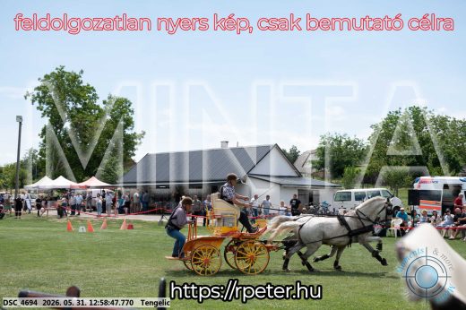 Mintakép 20260531-2687