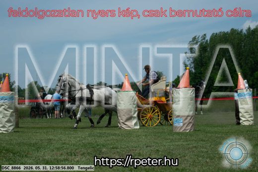Mintakép 20260531-2692