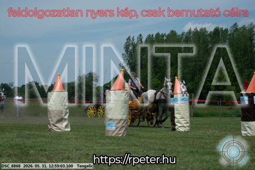 Mintakép 20260531-2694