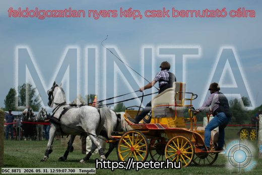 Mintakép 20260531-2697