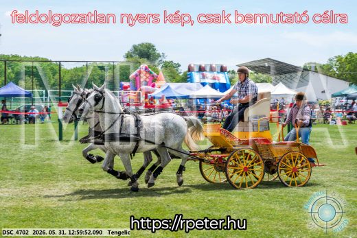 Mintakép 20260531-2706