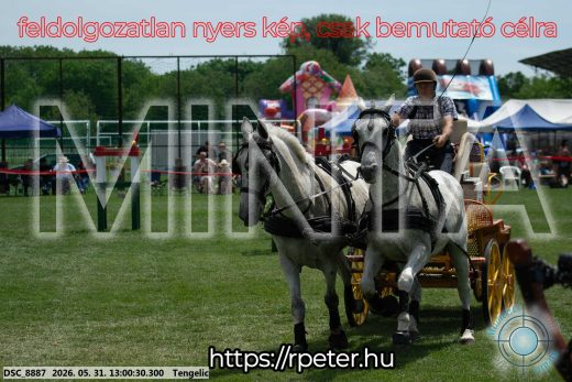 Mintakép 20260531-2719