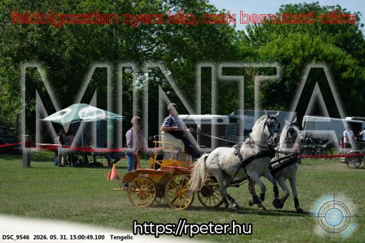 Mintakép 20260531-2725