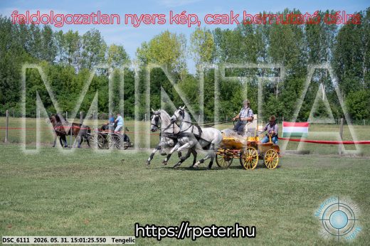 Mintakép 20260531-2727