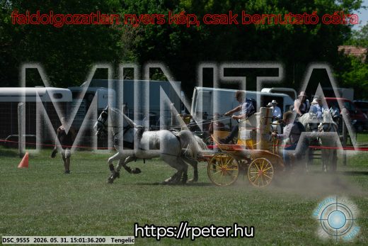 Mintakép 20260531-2736