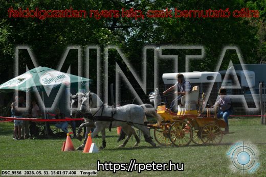 Mintakép 20260531-2737