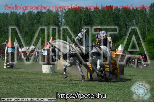 Mintakép 20260531-2742