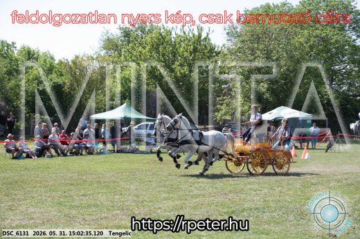 Mintakép 20260531-2749