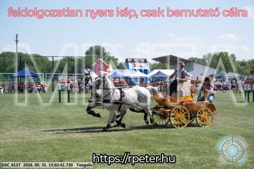 Mintakép 20260531-2755