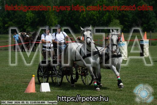 Mintakép 20260531-2765