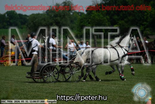 Mintakép 20260531-2777