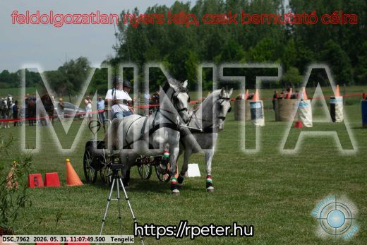 Mintakép 20260531-2782