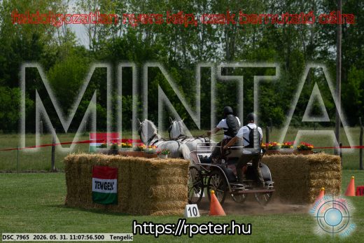 Mintakép 20260531-2785
