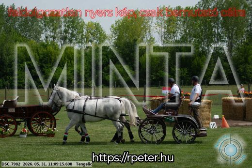 Mintakép 20260531-2797