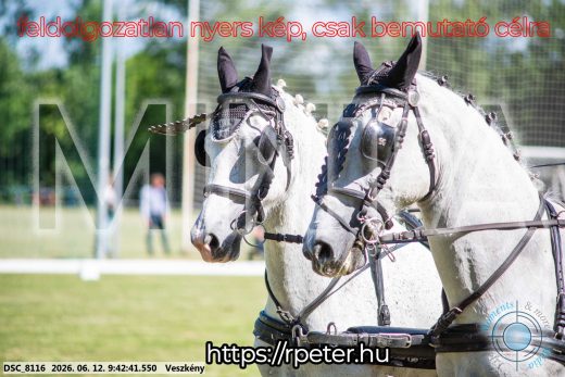 Mintakép 20260612-215