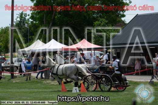 Mintakép 20260531-2802