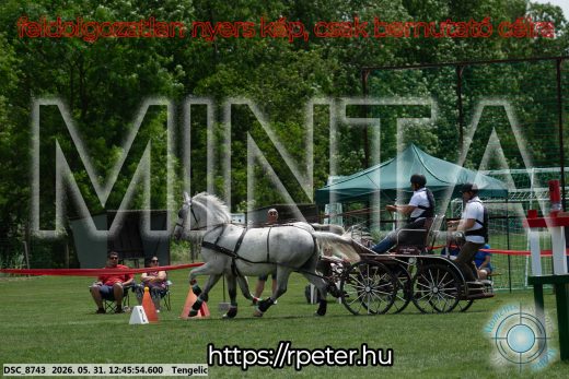 Mintakép 20260531-2803