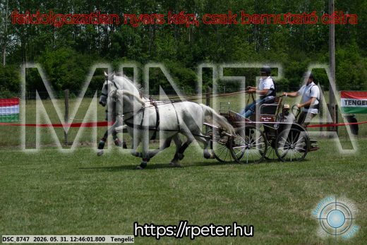 Mintakép 20260531-2805