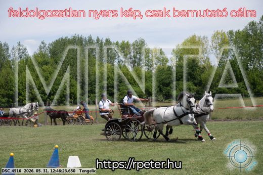 Mintakép 20260531-2810