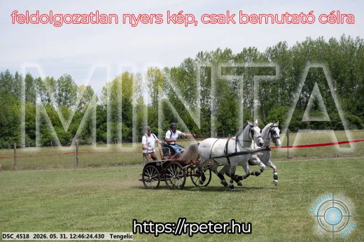 Mintakép 20260531-2812