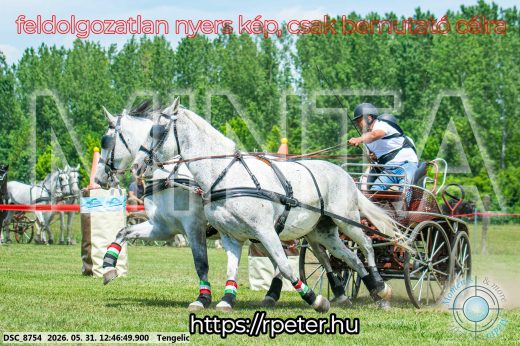 Mintakép 20260531-2824