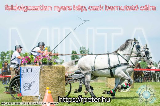 Mintakép 20260531-2827