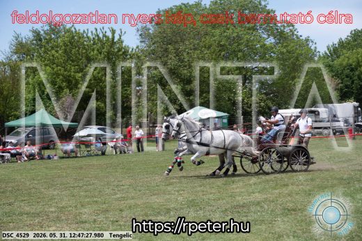 Mintakép 20260531-2830