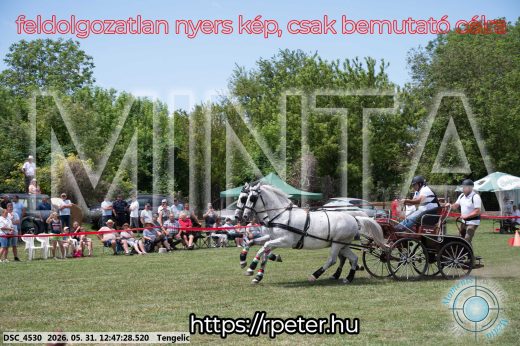 Mintakép 20260531-2831