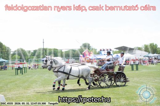 Mintakép 20260531-2836
