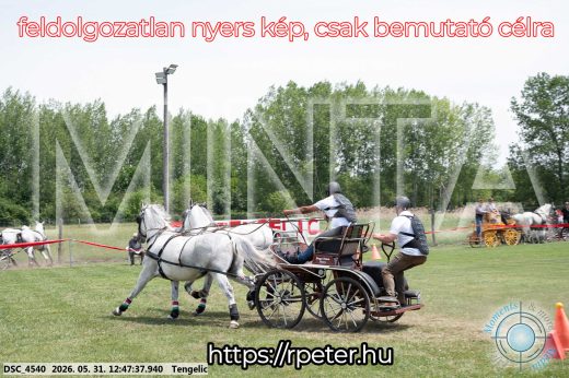 Mintakép 20260531-2838