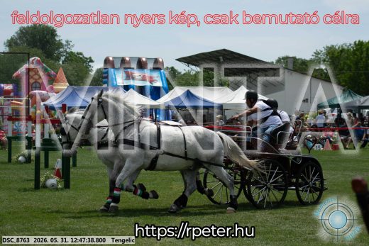 Mintakép 20260531-2839