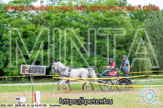 Mintakép 20260613-339