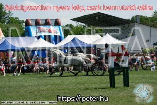 Mintakép 20260531-2861